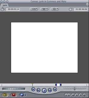 Final Cut Pro - VIEW - Alpha