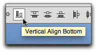 vertical_align_bottom