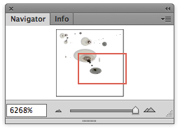 Illustrator CS4/CS5 navigation panel red rectangle
