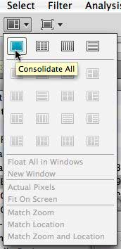 Photoshop CS4 Consolidate All
