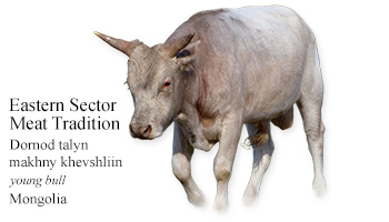 Eastern Sector Meat Tradition -young bull- Mongolia