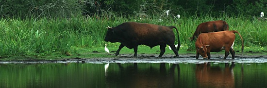 Marine Landais_1 ©2012 Gilles Prince Marine Landais_1 ©2012 Gilles Prince