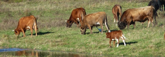 Marine Landais_4 ©2012 Gilles Prince Marine Landais_4 ©2012 Gilles Prince